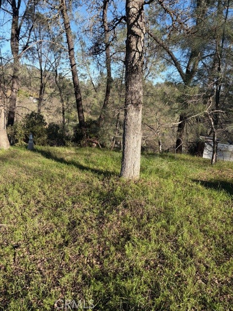 7098 Corral Corning, CA 96021 - Photo 6 of 22