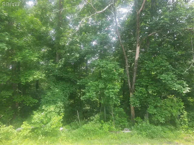 $55,000 | Tbd Tbd Tbd, Van Buren, MO 63965