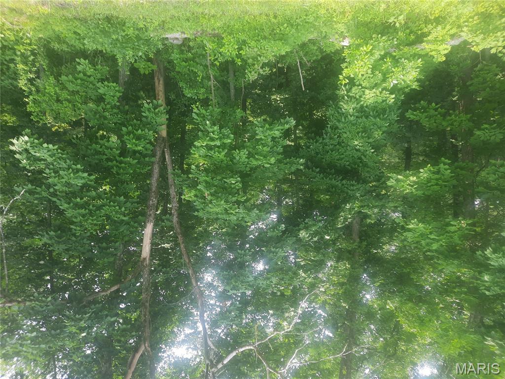 Tbd Tbd Tbd Van Buren, MO 63965 - Photo 2 of 2