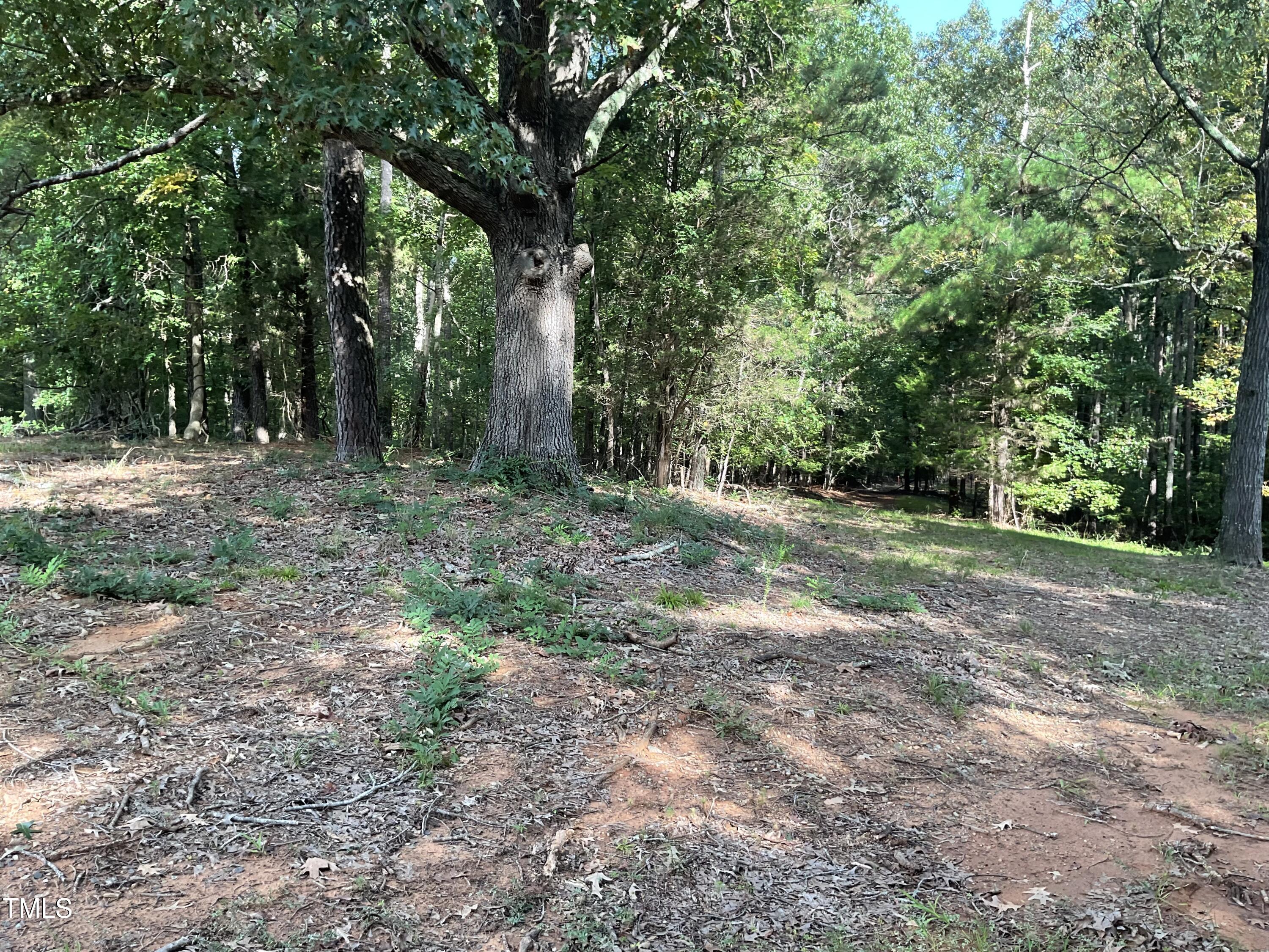 2537 Baptist Road Durham, NC 27703 - Photo 12 of 25 a view of a yard with a tree