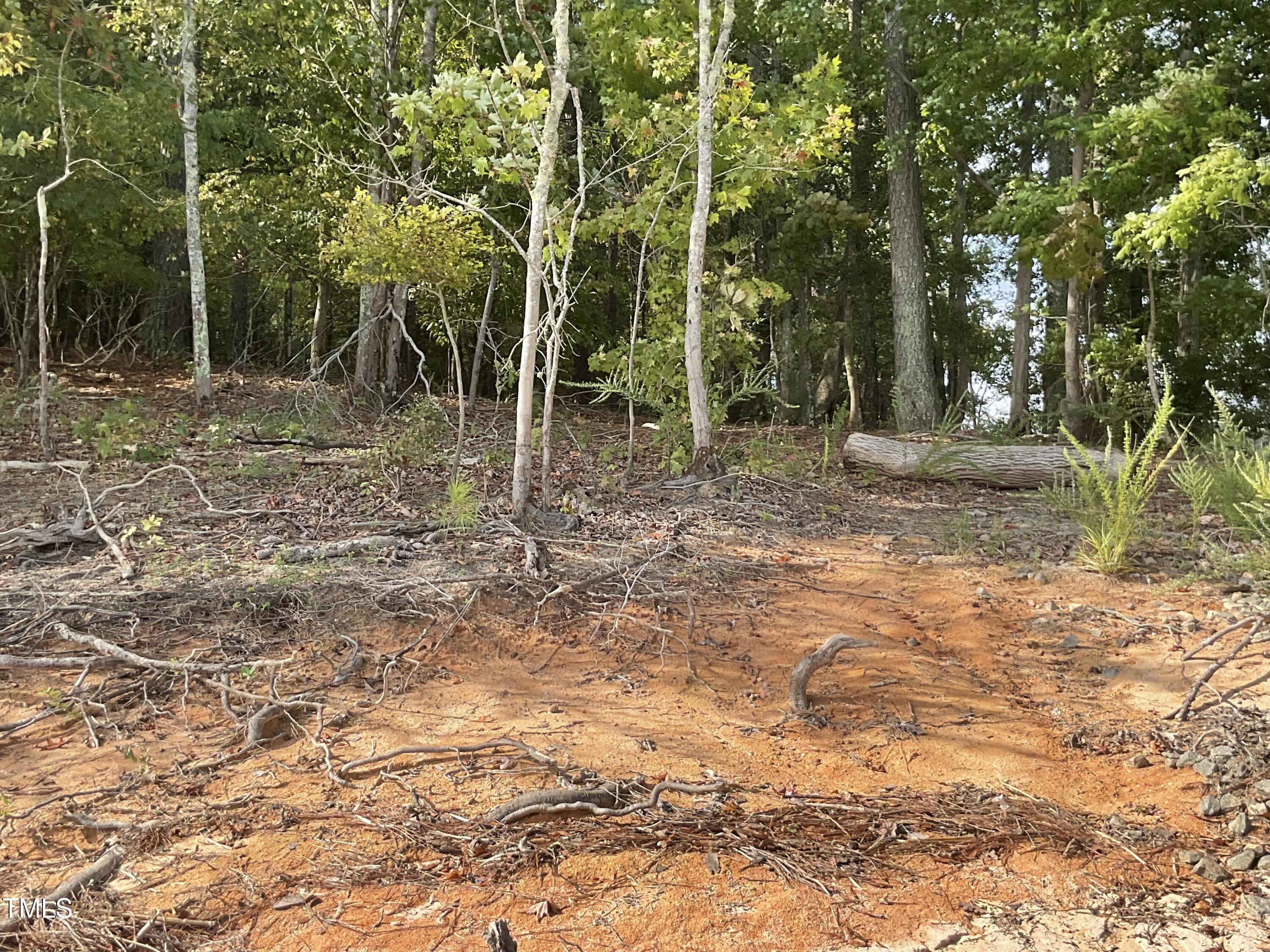 2537 Baptist Road Durham, NC 27703 - Photo 15 of 25 a view of a trees and yard