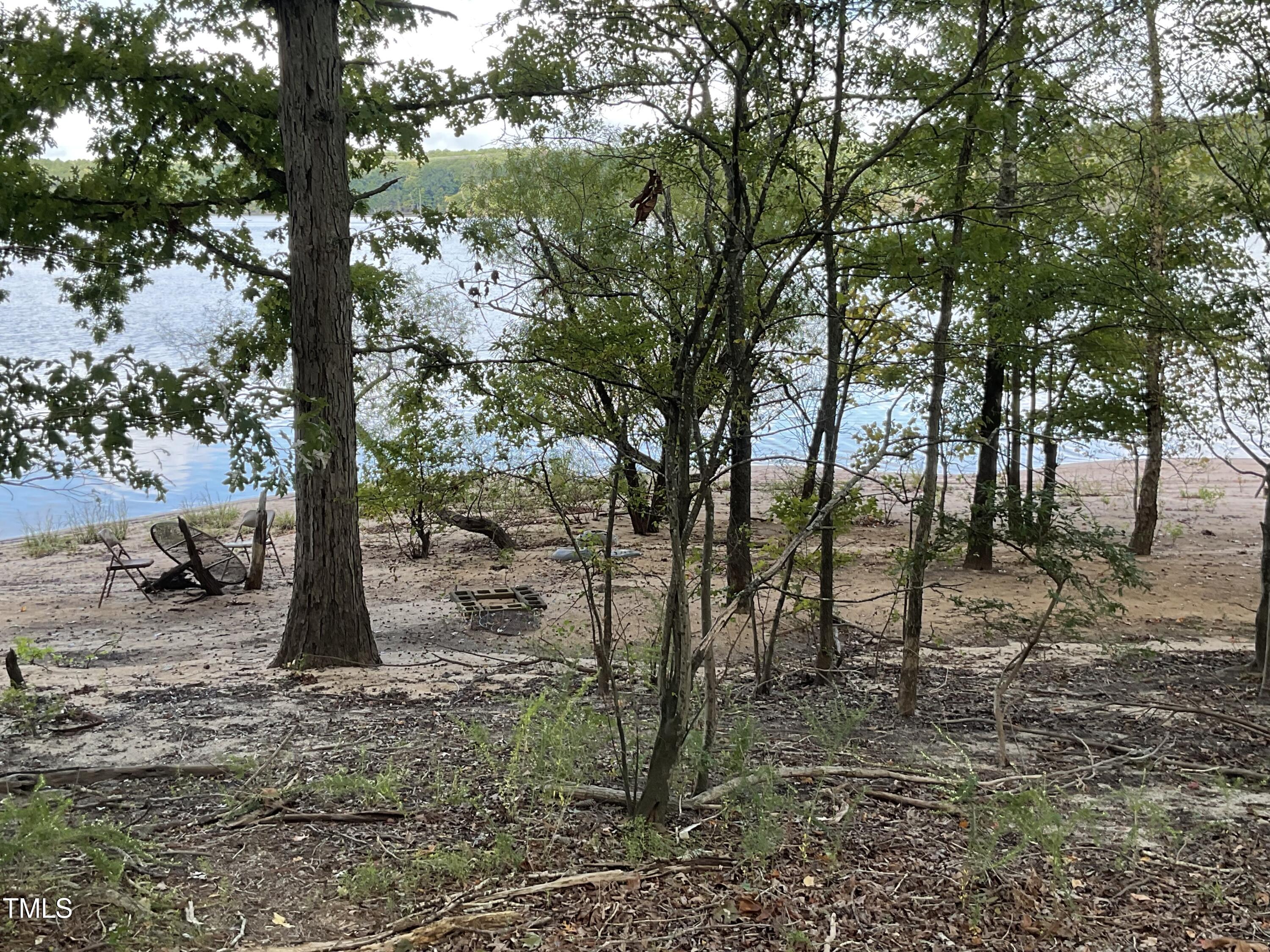 2537 Baptist Road Durham, NC 27703 - Photo 17 of 25 a view of a tree in the forest