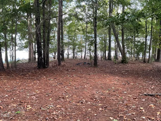a view of a forest with a sink