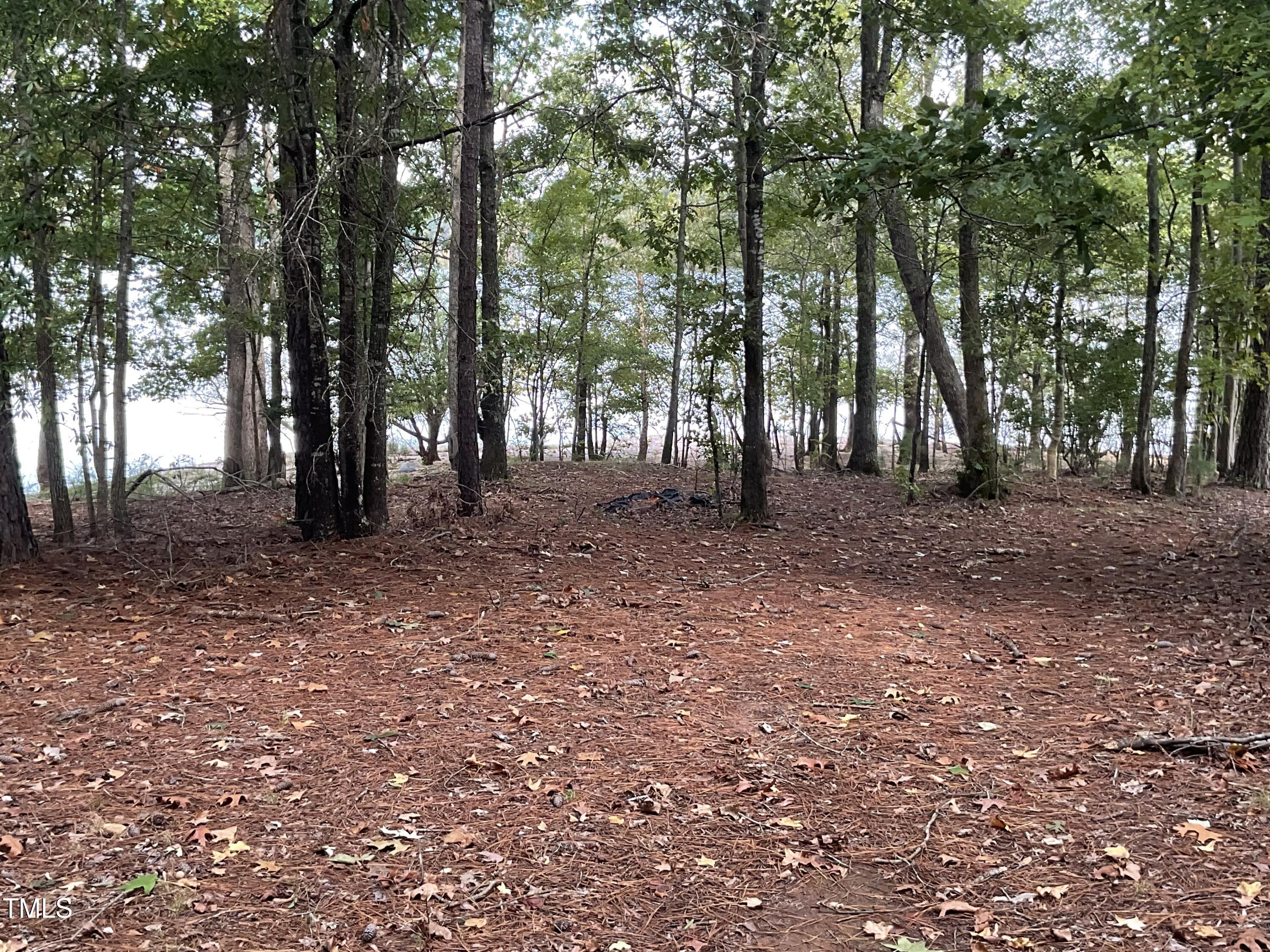 2537 Baptist Road Durham, NC 27703 - Photo 18 of 25 a backyard of a house with lots of green space