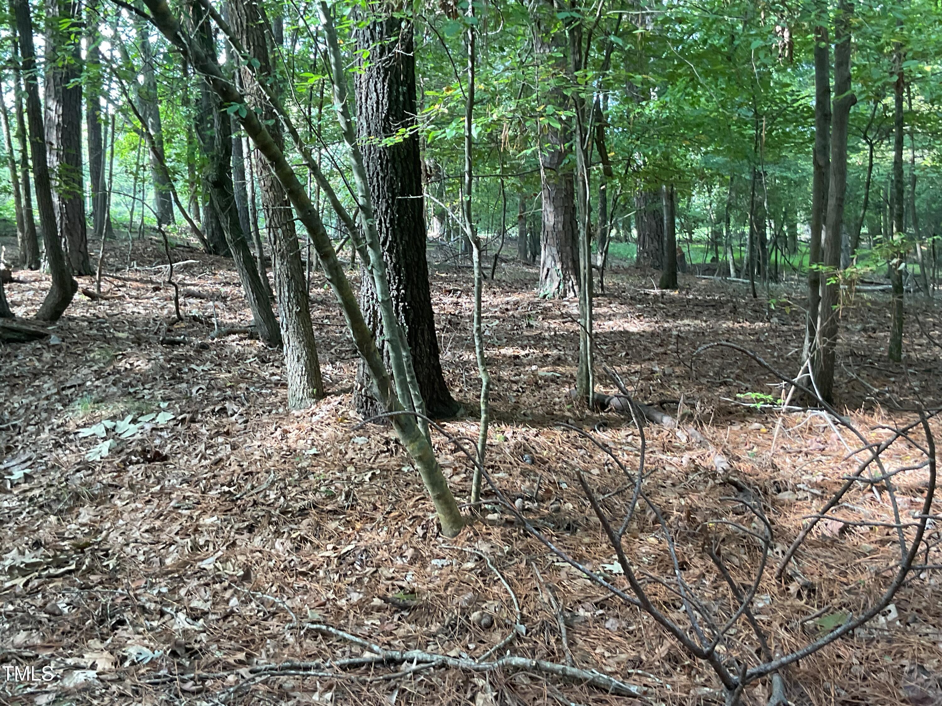 2537 Baptist Road Durham, NC 27703 - Photo 20 of 25 a view of a park with a tree