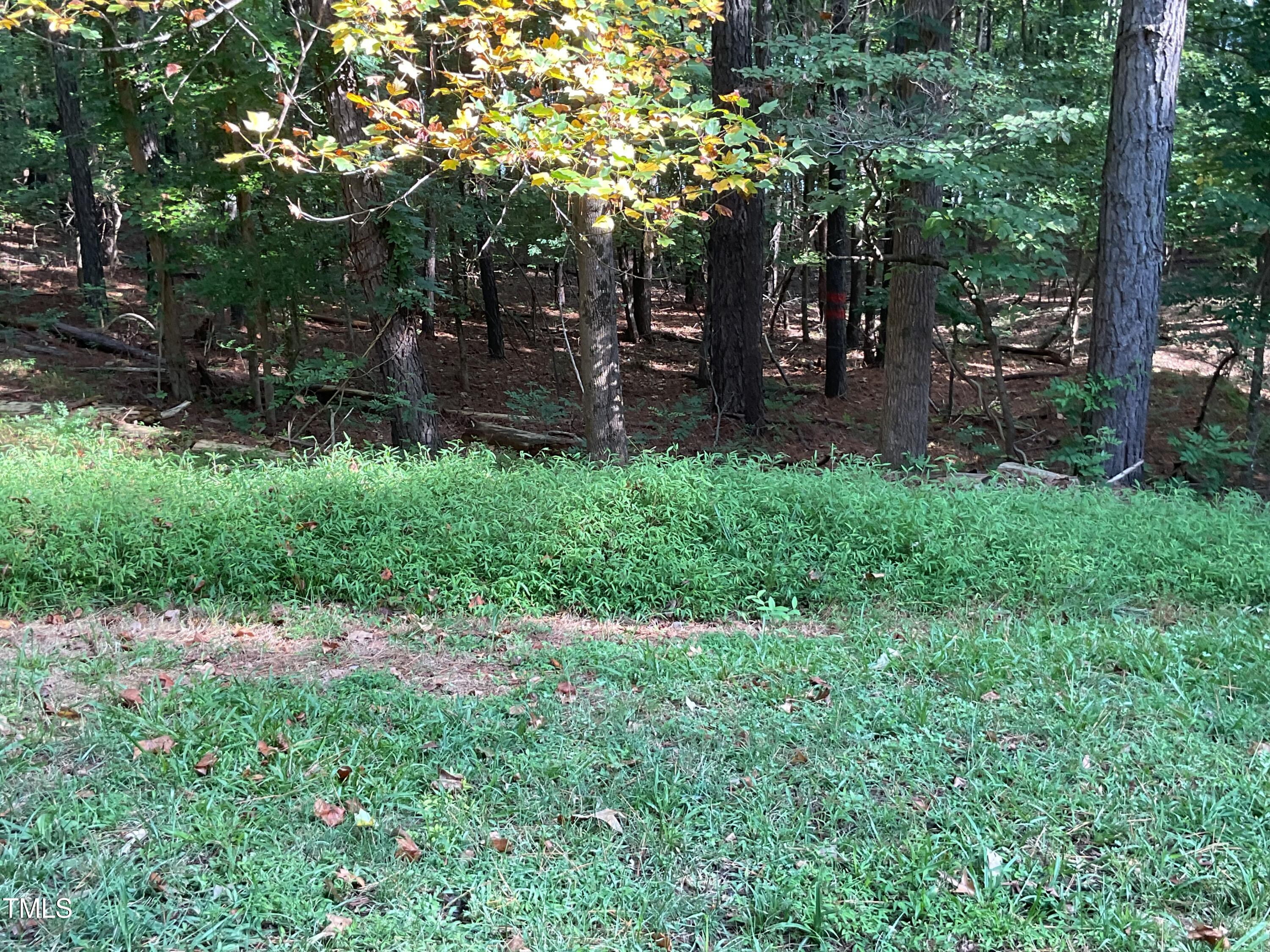 2537 Baptist Road Durham, NC 27703 - Photo 21 of 25 front view of a house with a tree