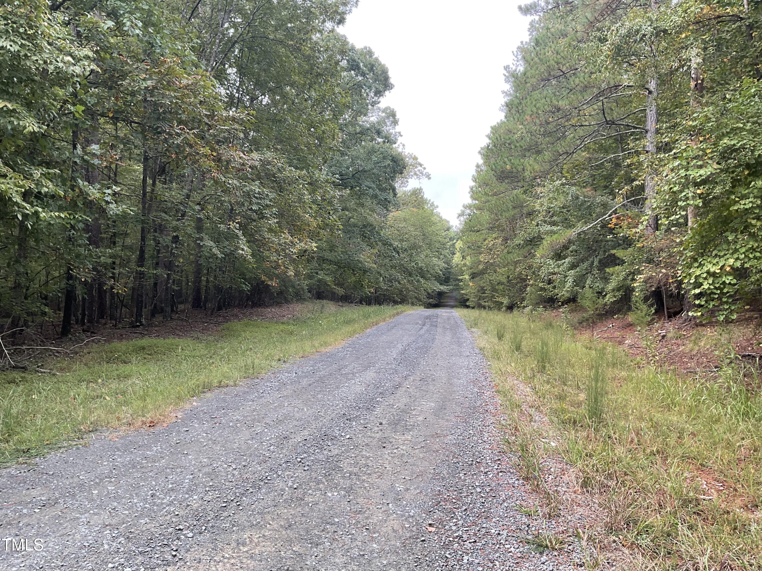 2537 Baptist Road Durham, NC 27703 - Photo 25 of 25 a view of a yard with a tree