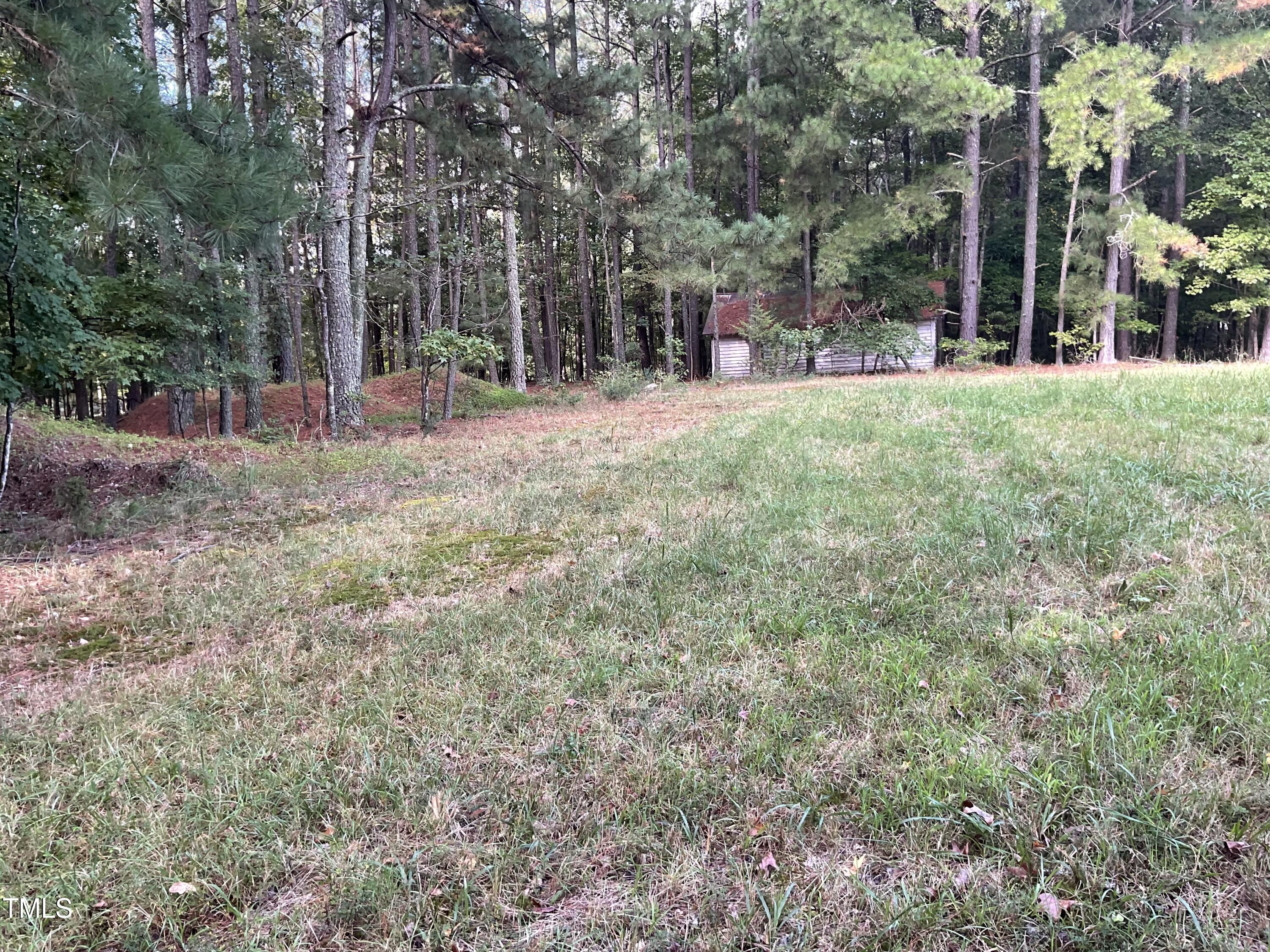 2537 Baptist Road Durham, NC 27703 - Photo 8 of 25 a view of a park with large trees