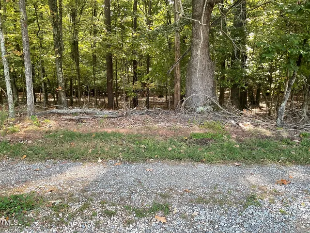 a view of a field with a tree in the background