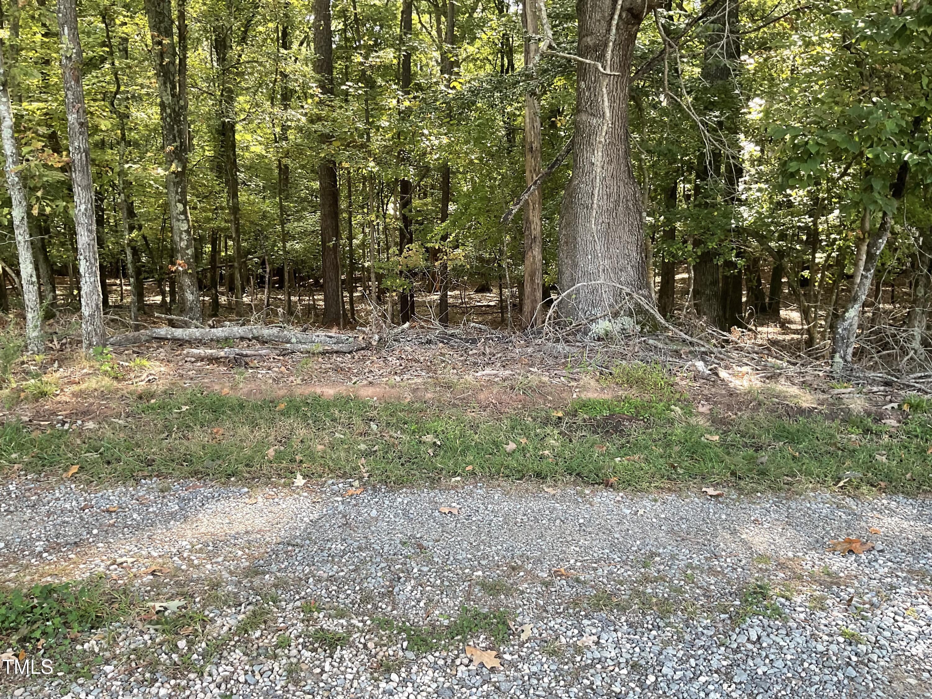 2537 Baptist Road Durham, NC 27703 - Photo 10 of 25 a view of a yard with plants and trees