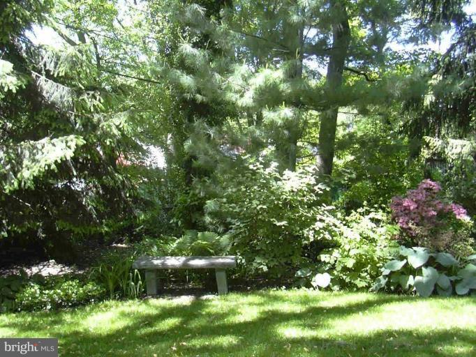 305 Alabama Road Towson, MD 21204 - Photo 17 of 19 Back yard