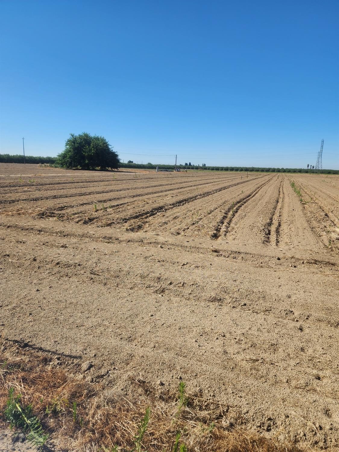 a view of beach and an ocean