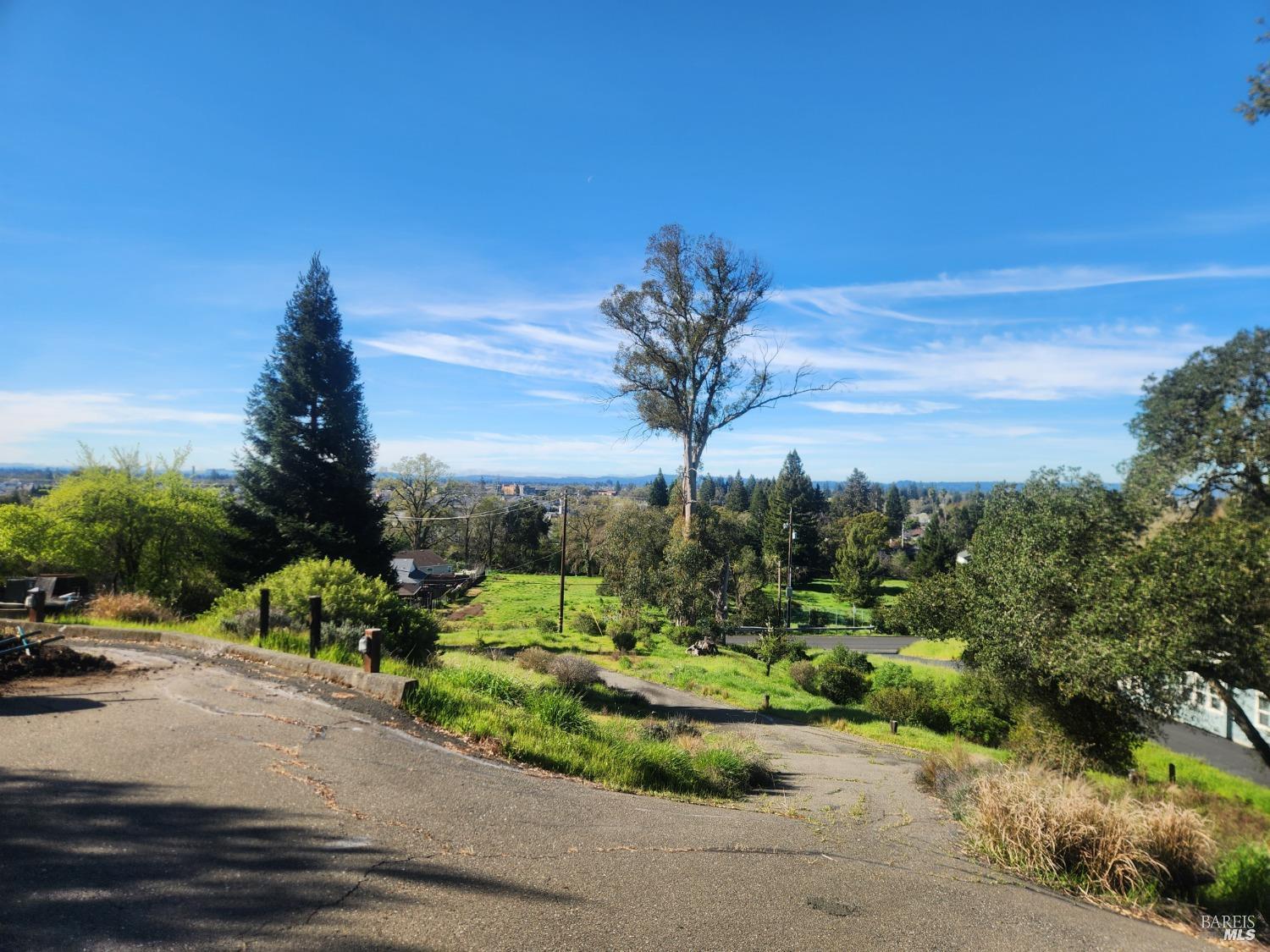 4980 Carriage Lane Santa Rosa, CA 95403 - Photo 3 of 12 a view of a garden with a building in the background