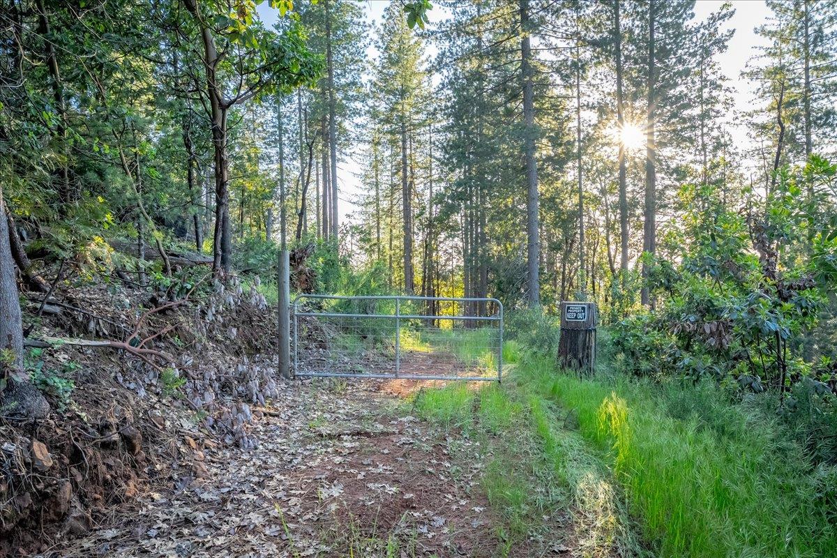 3260 Chipmunk Trail Georgetown, CA 95634 - Photo 21 of 23 a view of a garden with a trees