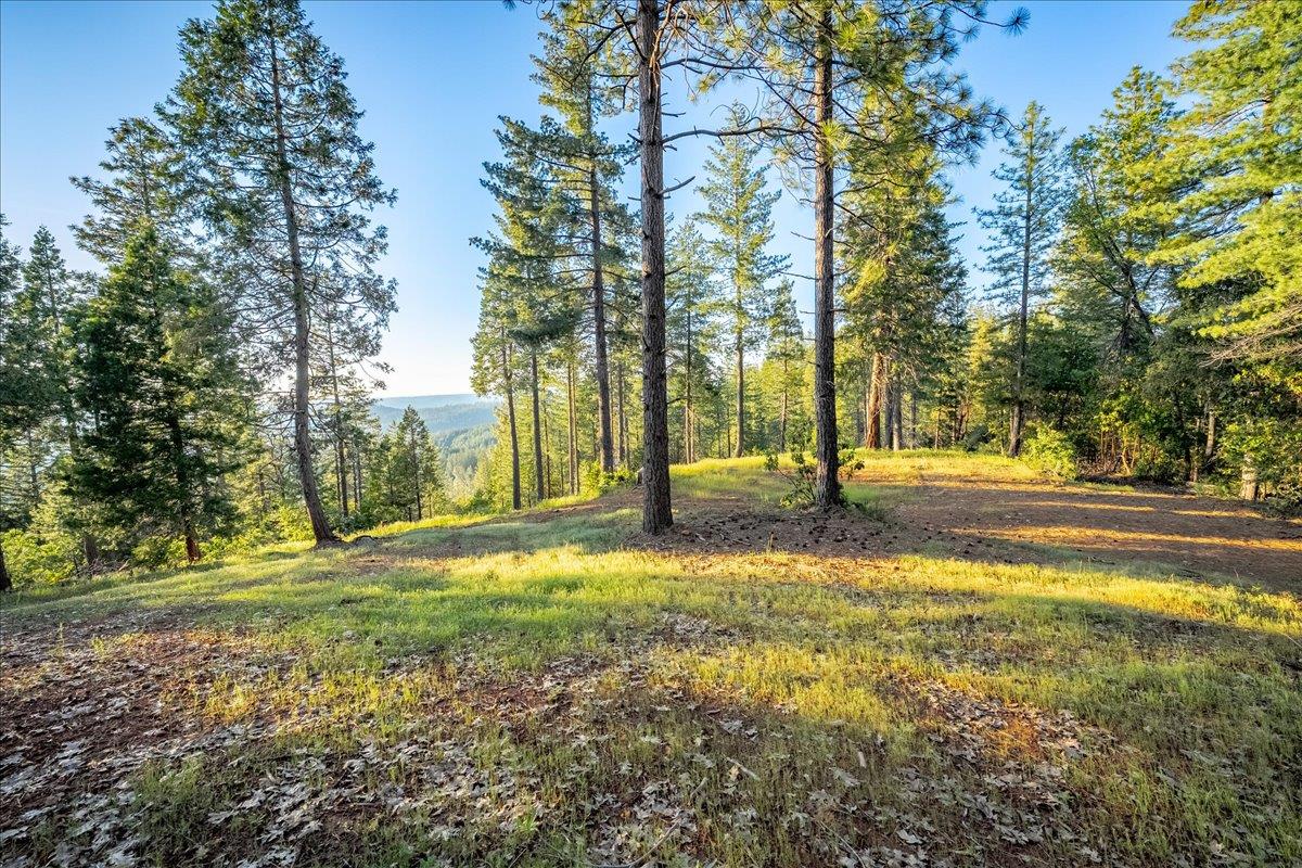 3260 Chipmunk Trail Georgetown, CA 95634 - Photo 3 of 23