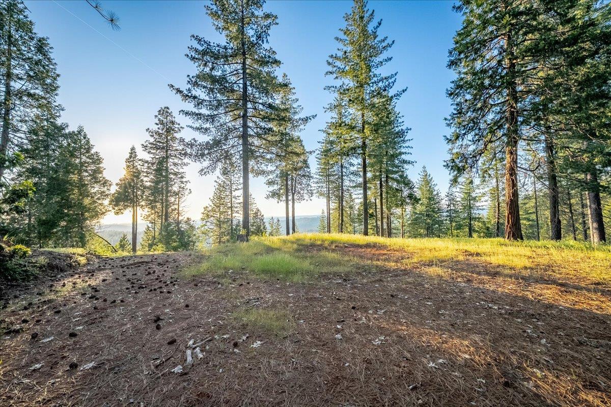 3260 Chipmunk Trail Georgetown, CA 95634 - Photo 6 of 23 a view of outdoor space with trees