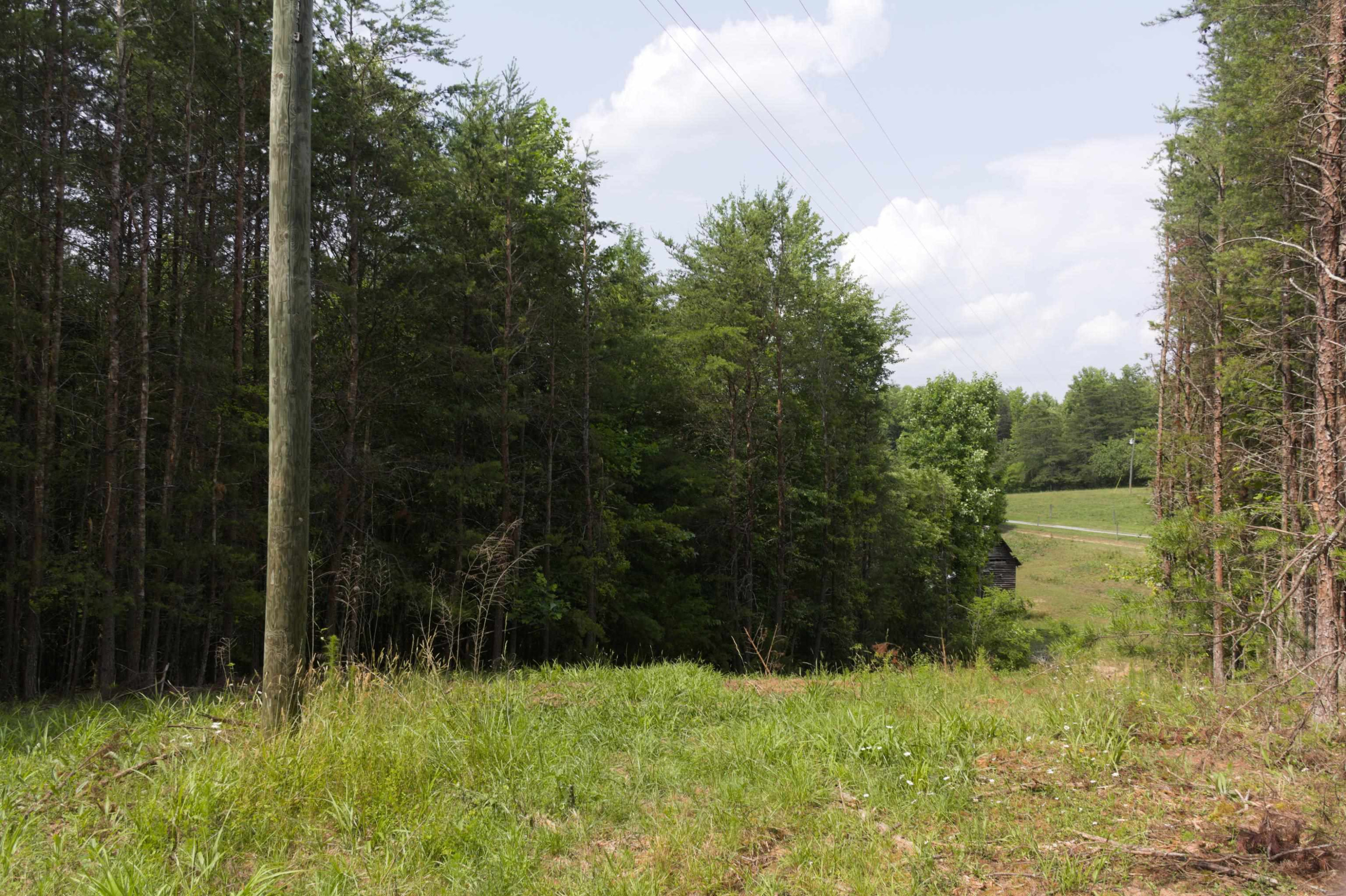 Fox Winkler Road Lenoir, NC 28645 - Photo 9 of 16 Photo 9