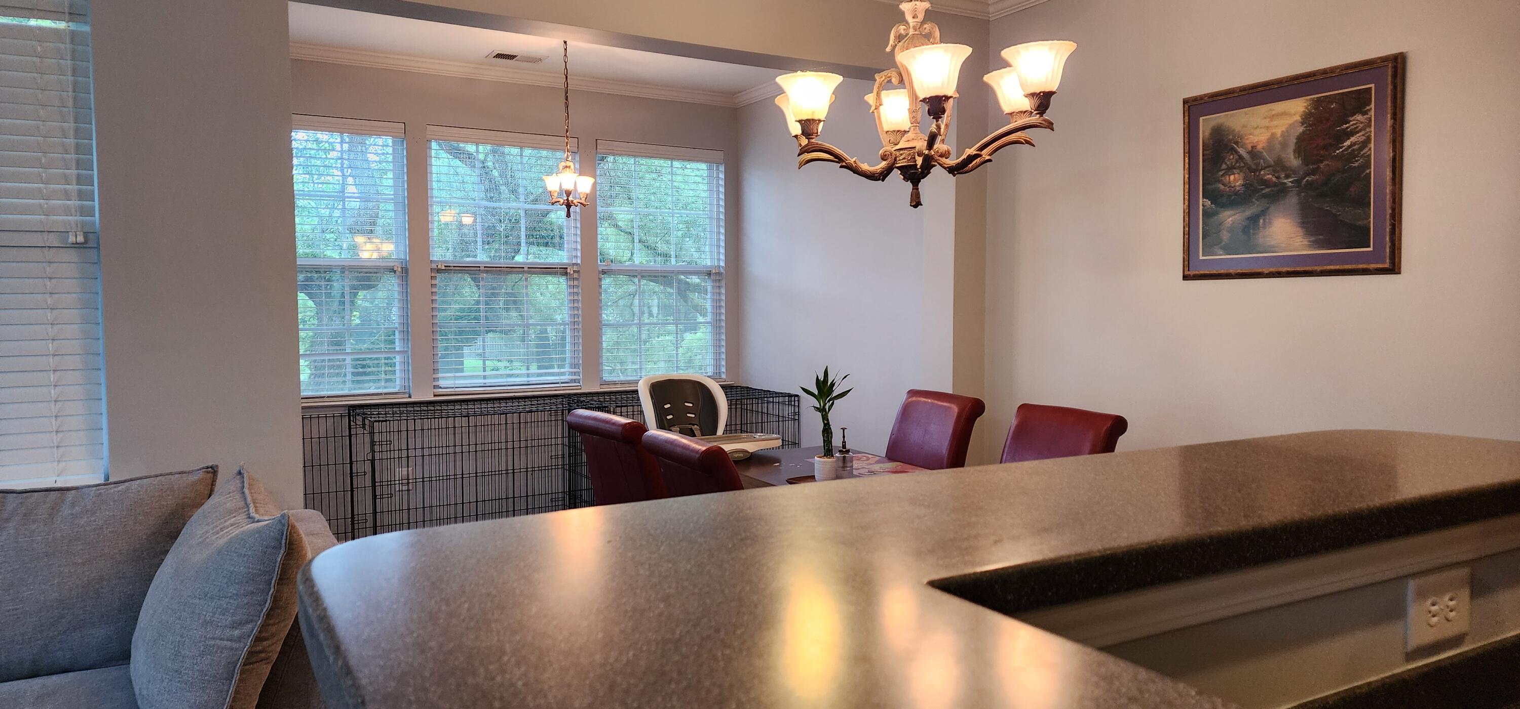 9120 Parlor Drive Ladson, SC 29456 - Photo 11 of 24 20240623_161431