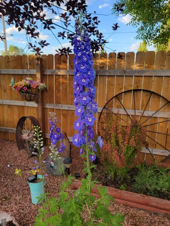 $350,000 | 301 North 15th Street East, Riverton, WY 82501