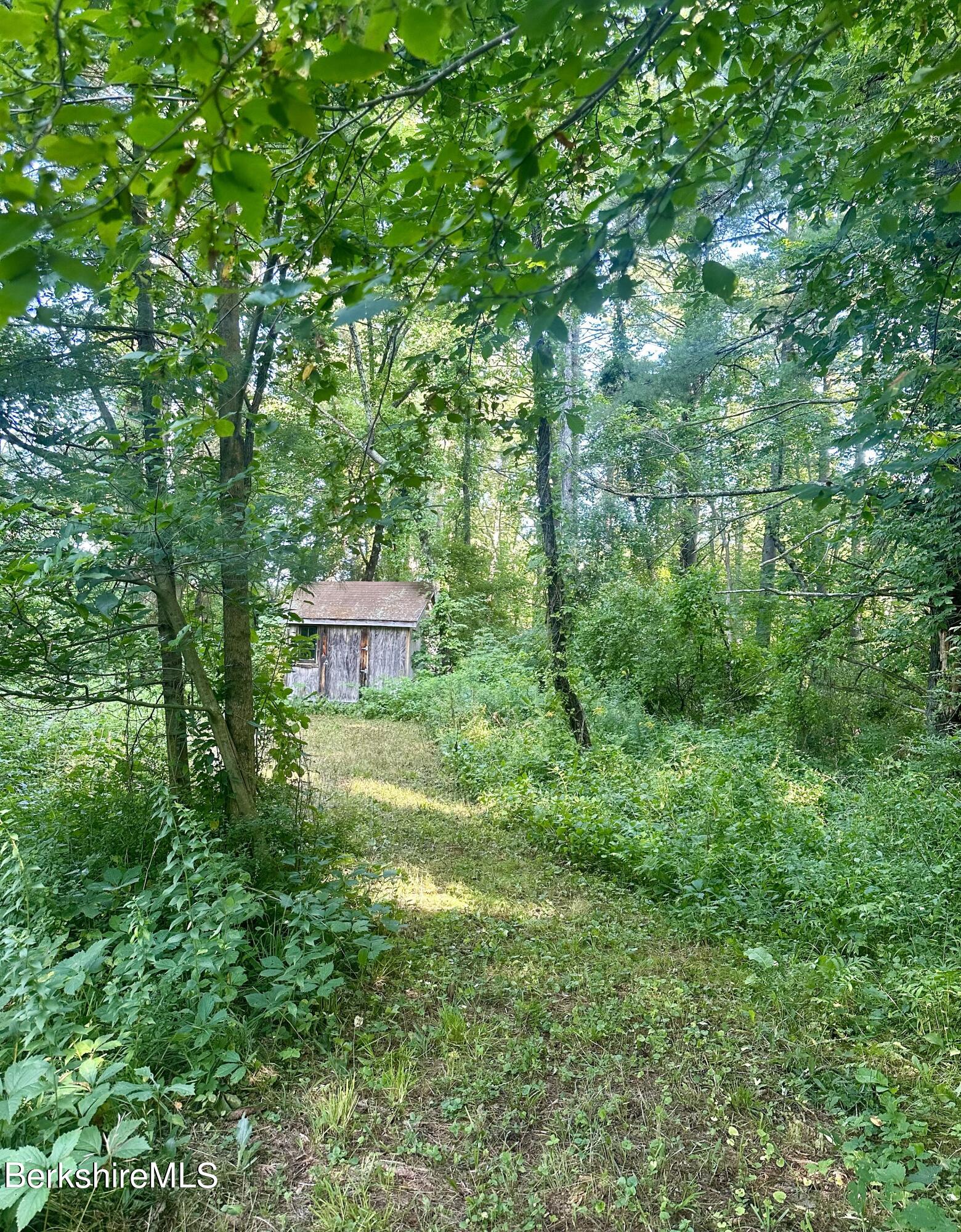 46 Seekonk Road Great Barrington, MA 01230 - Photo 4 of 6 Shed