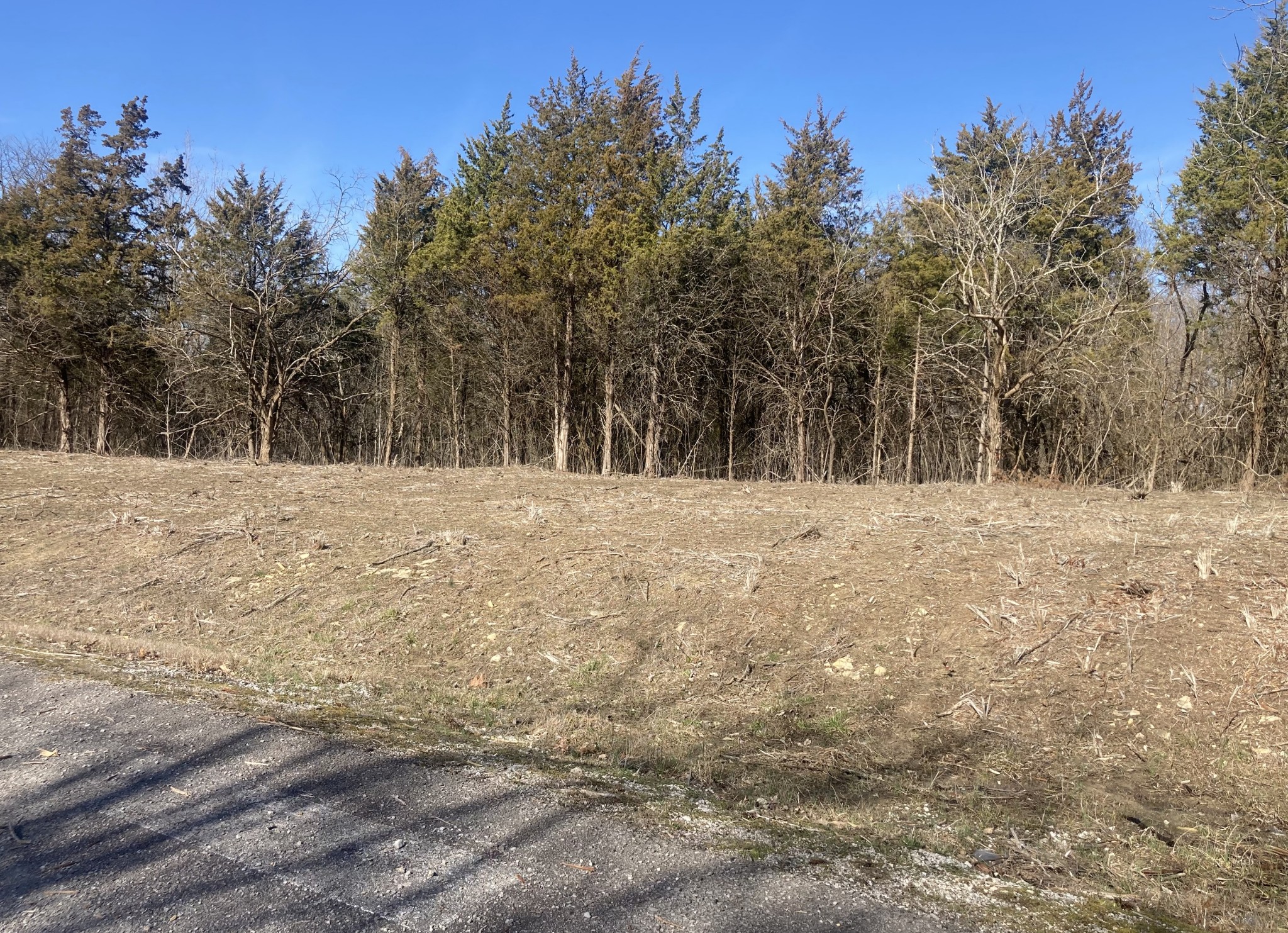 8598 Taliaferro Road Eagleville, TN 37060 - Photo 13 of 16 Gallery Image 13