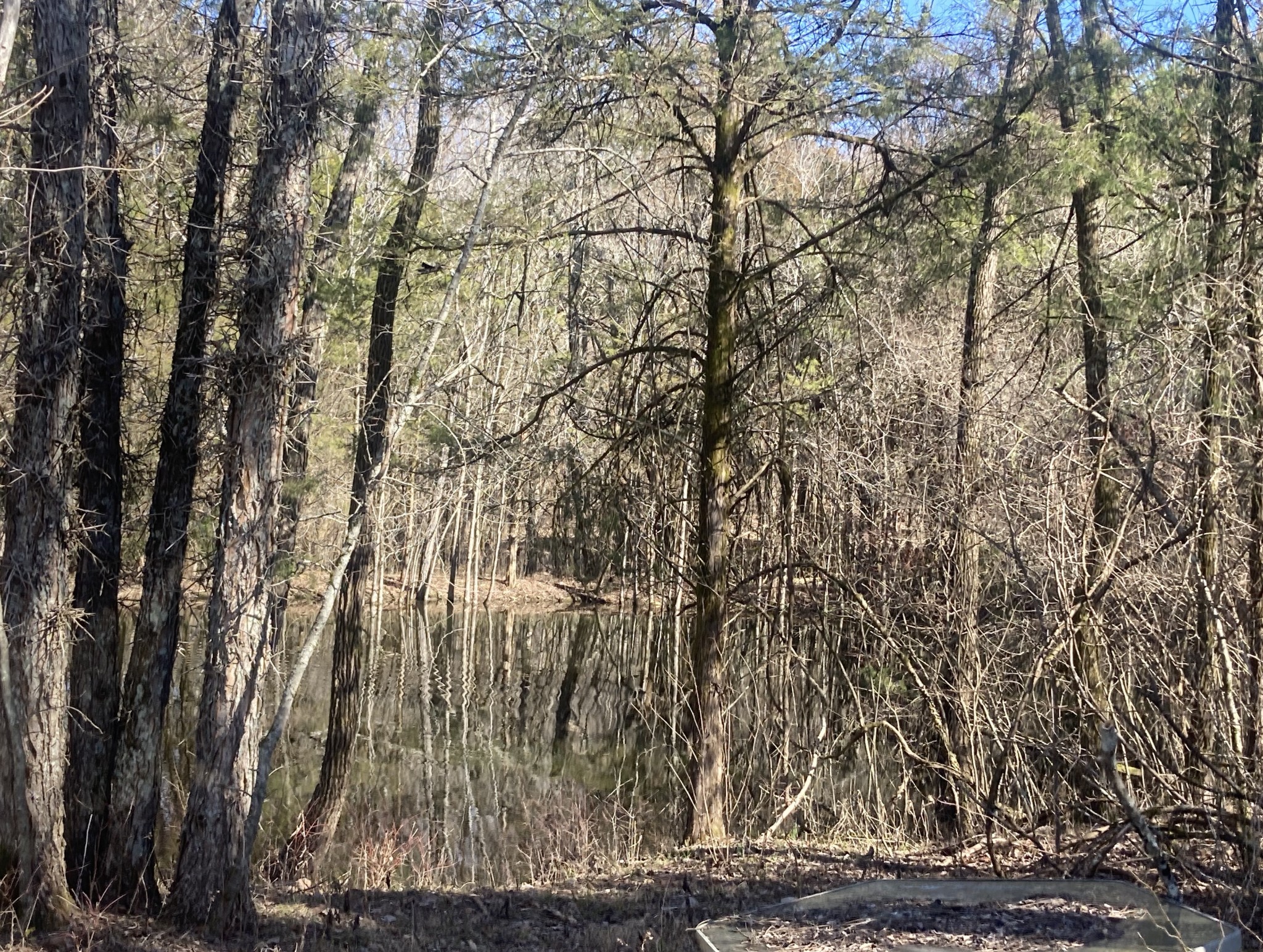 8598 Taliaferro Road Eagleville, TN 37060 - Photo 15 of 16 Gallery Image 15