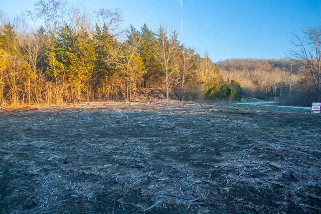 8598 Taliaferro Road Eagleville, TN 37060 - Photo 6 of 16 Gallery Image 6