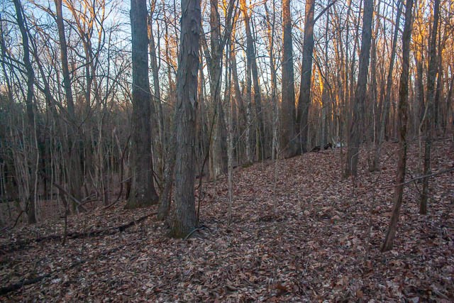 8598 Taliaferro Road Eagleville, TN 37060 - Photo 10 of 16 Gallery Image 10