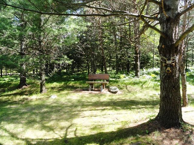 W3281 Block Road Tomahawk, WI 54487 - Photo 20 of 20 Gallery Image 20