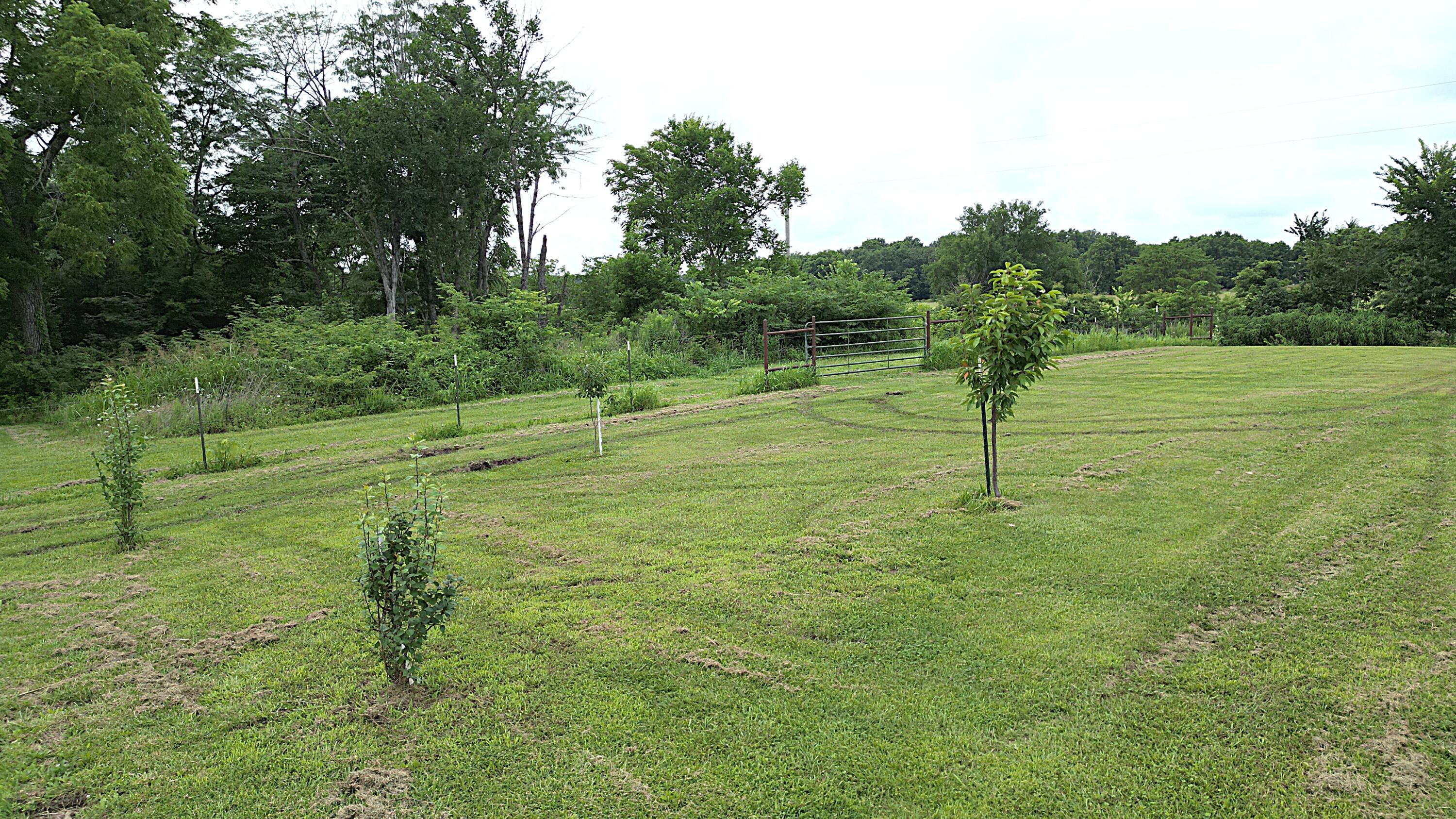 1738 East 400th Road Half Way, MO 65663 - Photo 31 of 32 1738 E 400th RD, Halfway MO