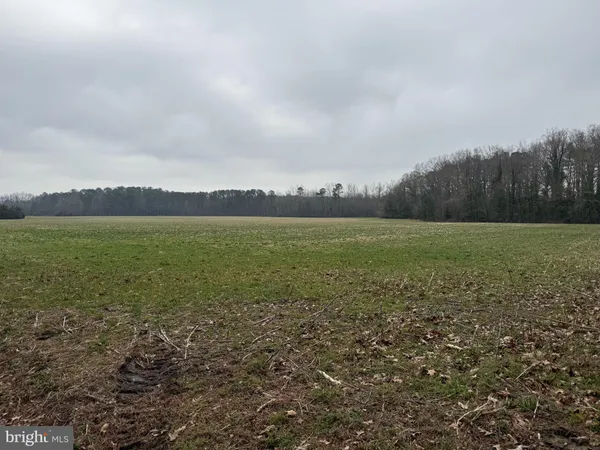 $495,000 | Ebenezer Church Road, Cobbs Creek, VA 23035