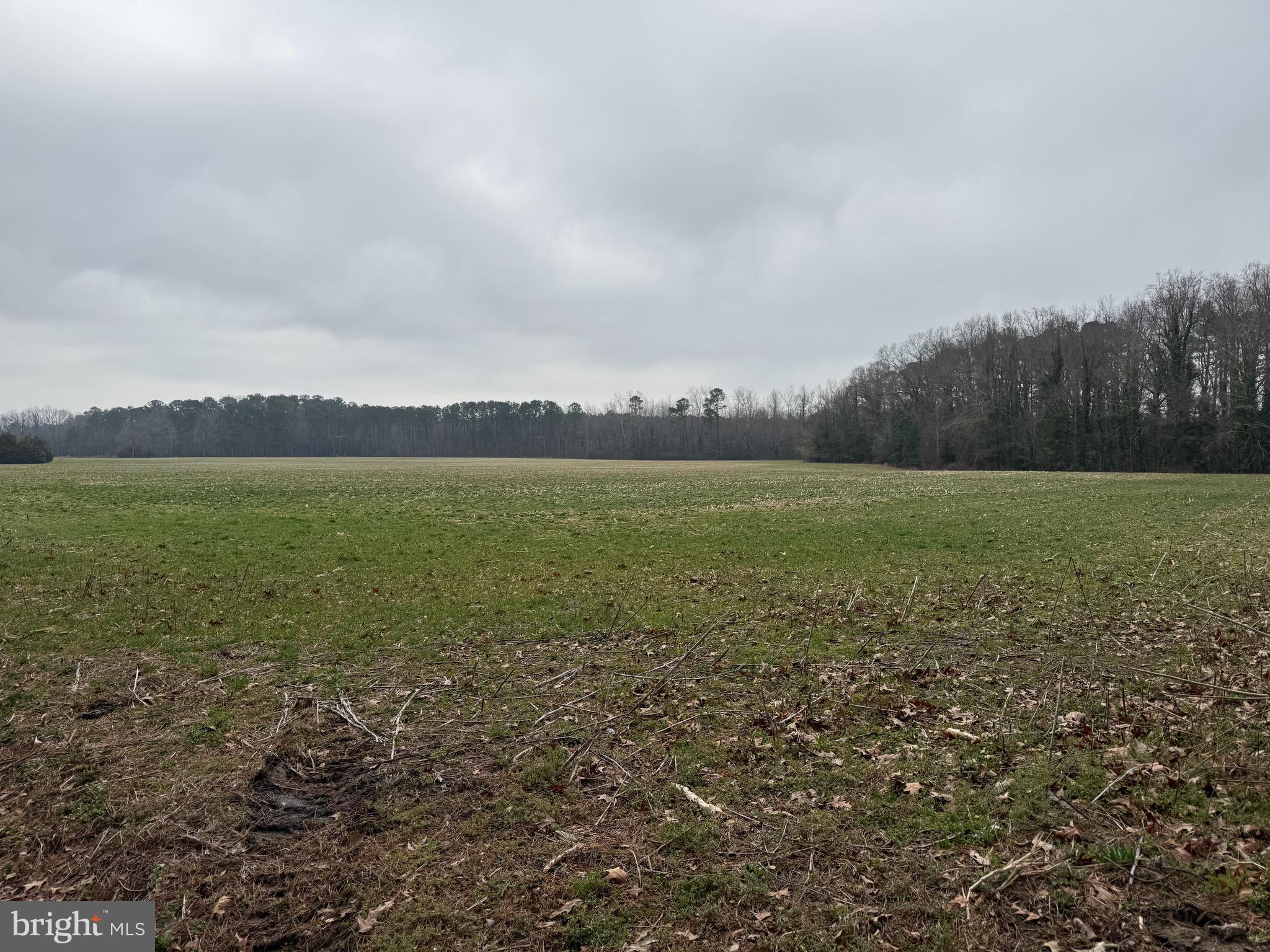 Ebenezer Church Road Cobbs Creek, VA 23035 - Photo 3 of 6 First Parcel 31 Acres