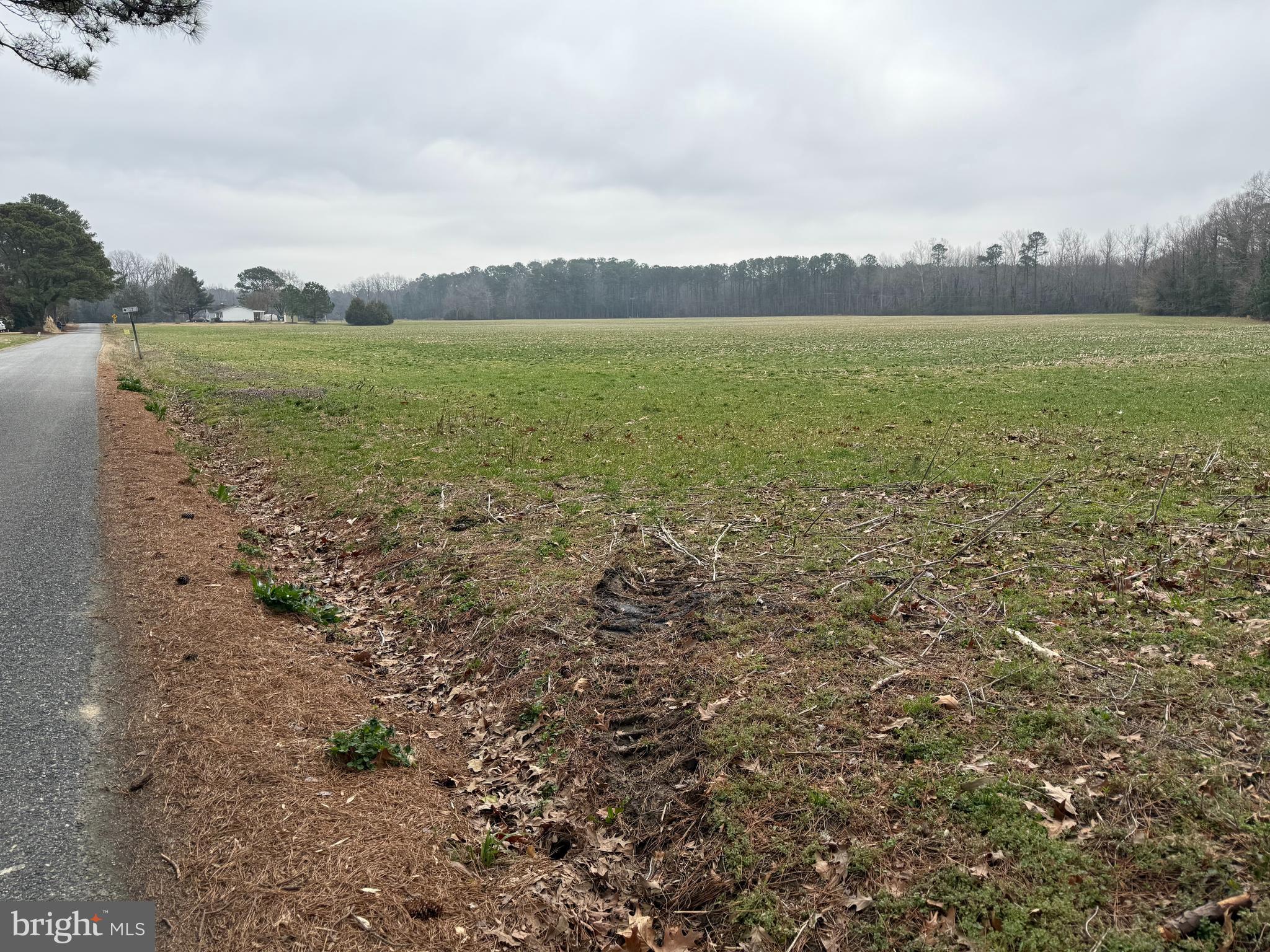 Ebenezer Church Road Cobbs Creek, VA 23035 - Photo 4 of 6 First Parcel 31 Acres