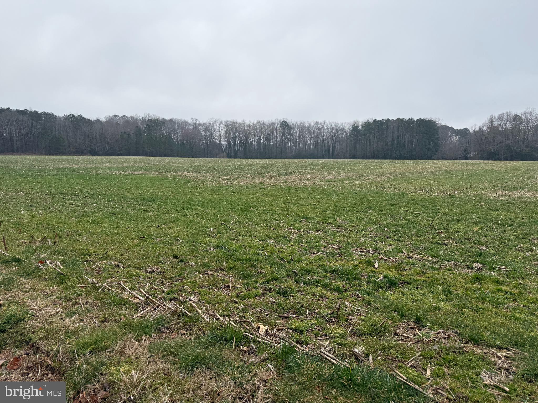 Ebenezer Church Road Cobbs Creek, VA 23035 - Photo 5 of 6 Next Parcel- 15 Acres