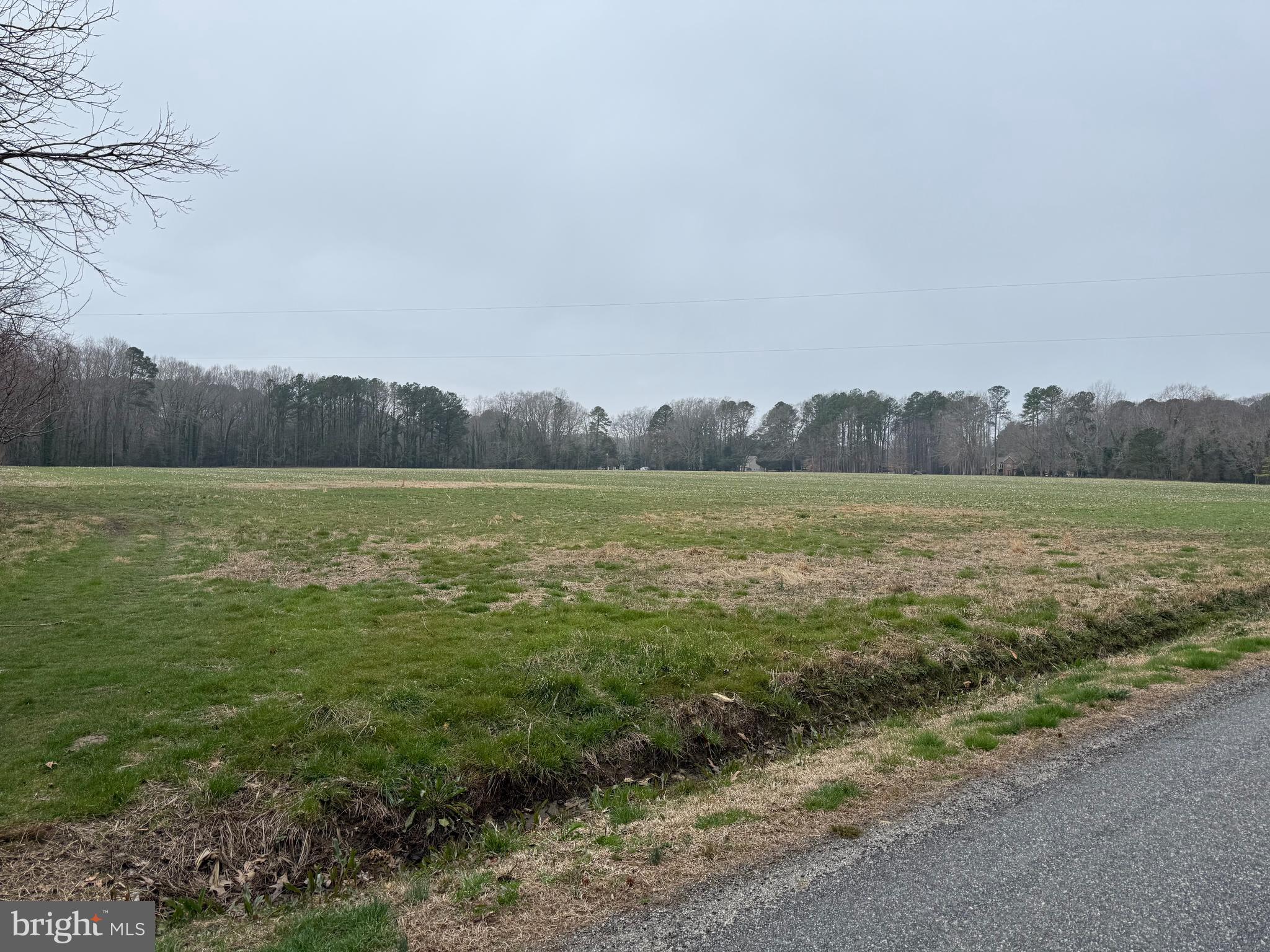 Ebenezer Church Road Cobbs Creek, VA 23035 - Photo 6 of 6 Next Parcel -15 Acres