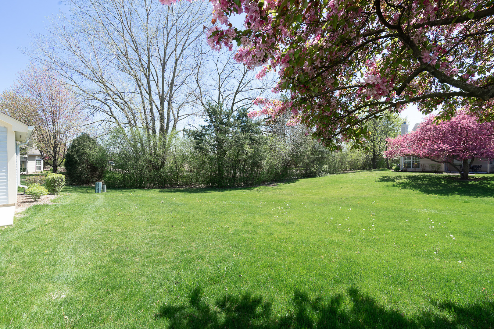 446 Cromwell Circle, Unit 1 Bartlett, IL 60103 - Photo 23 of 28 a backyard of a house with lots of green space
