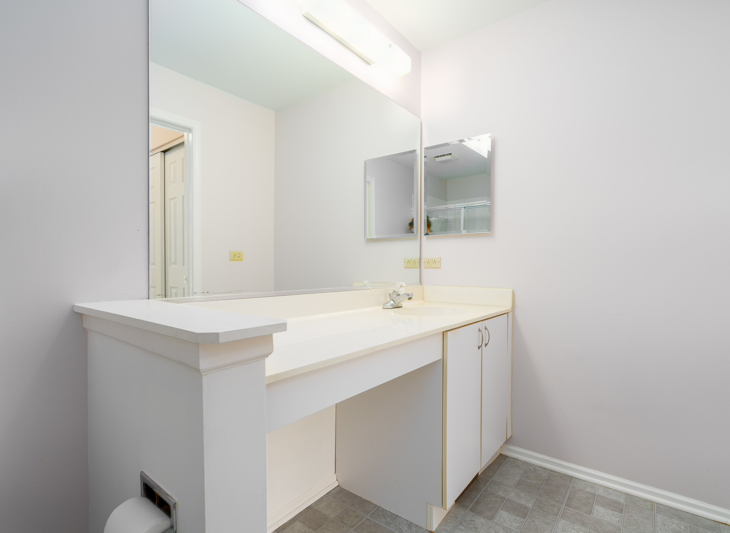 446 Cromwell Circle, Unit 1 Bartlett, IL 60103 - Photo 5 of 28 a bathroom with a sink and a mirror