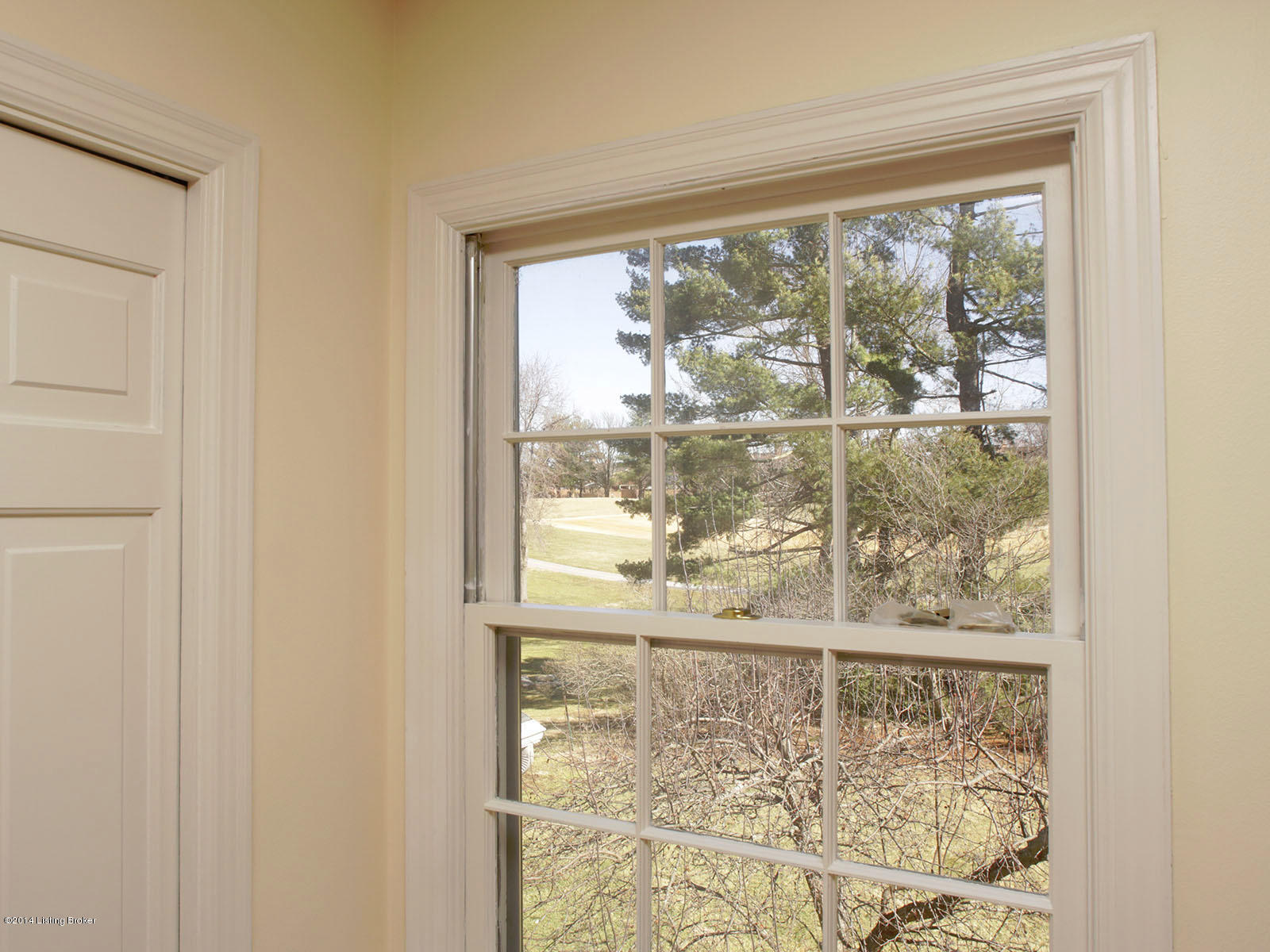 6615 Foxcroft Road Prospect, KY 40059 - Photo 20 of 26 U05A4818_low2