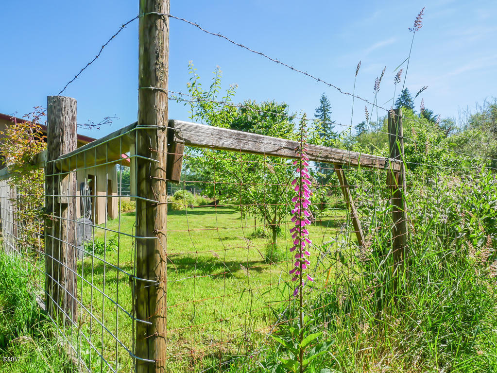847 Hamer Road Siletz, OR 97380 - Photo 41 of 79 Fruit orchard