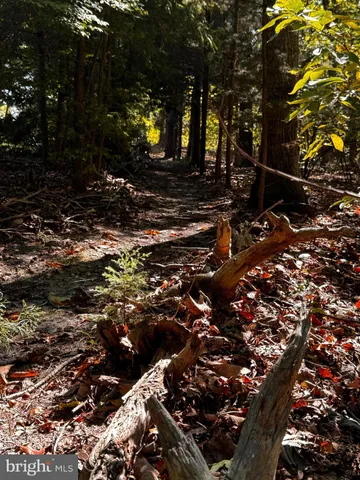 $849,900 | 632 East Lost Pine Way Road, Absecon, NJ 08205