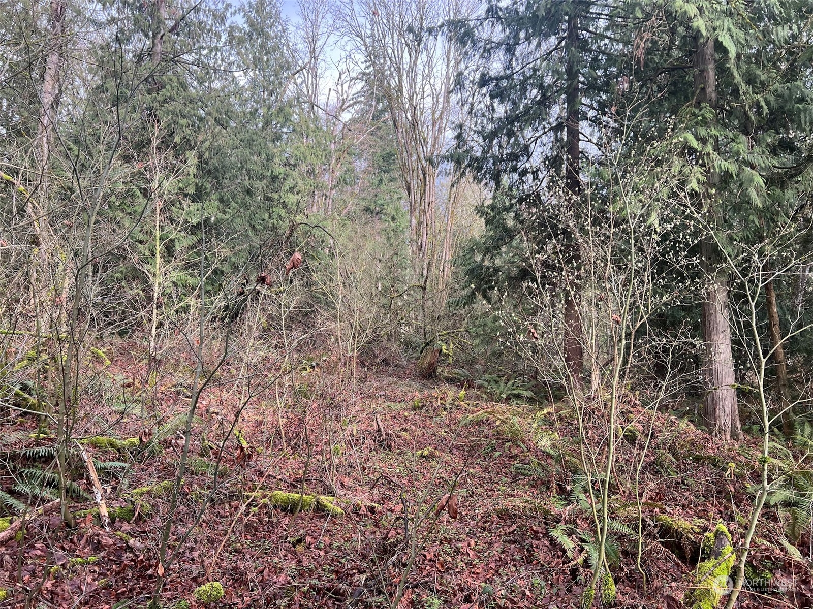 -xx Valley View Road Sedro-Woolley, WA 98284 - Photo 9 of 14 Gallery Image 9