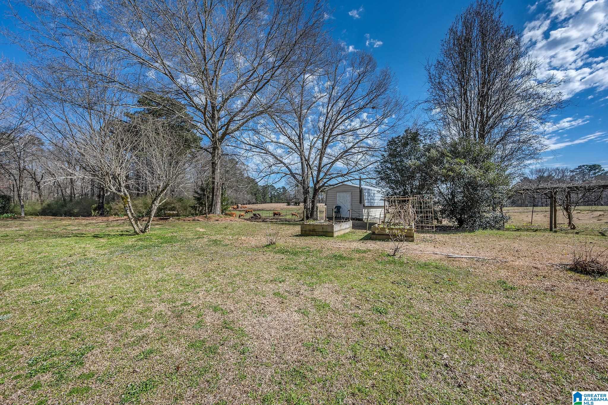 3821 Mt Olive Road Mount Olive, AL 35117 - Photo 6 of 40