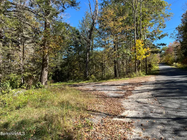 a view of backyard with green space