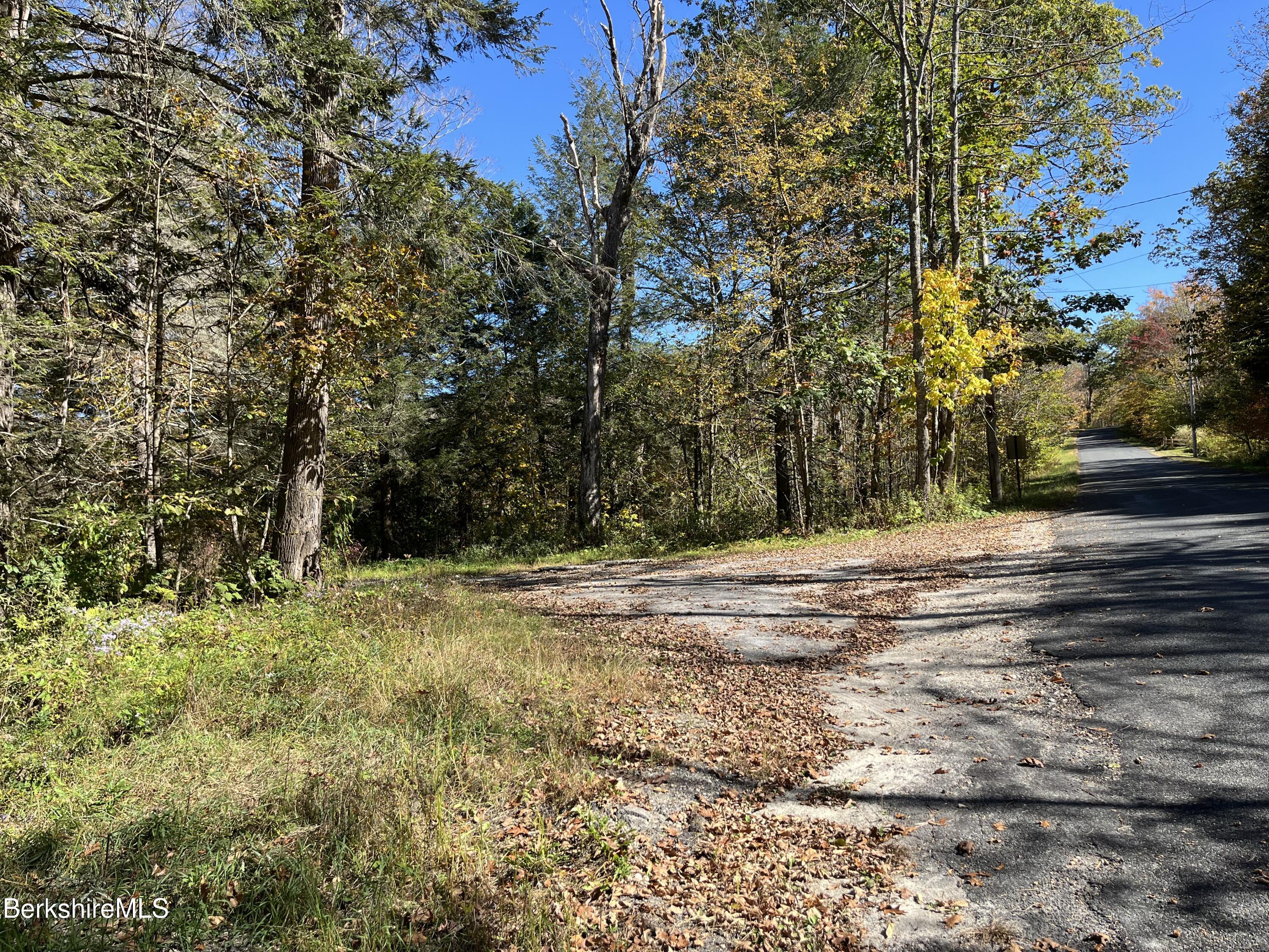 0 Sandisfield Road Monterey, MA 01245 - Photo 4 of 8 a view of dirt yard with a large tree