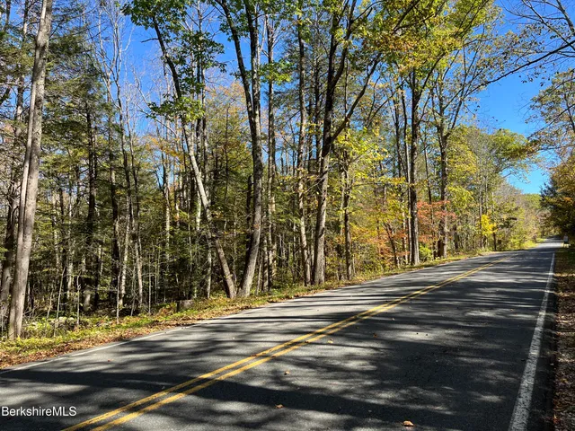 a view of road and trees