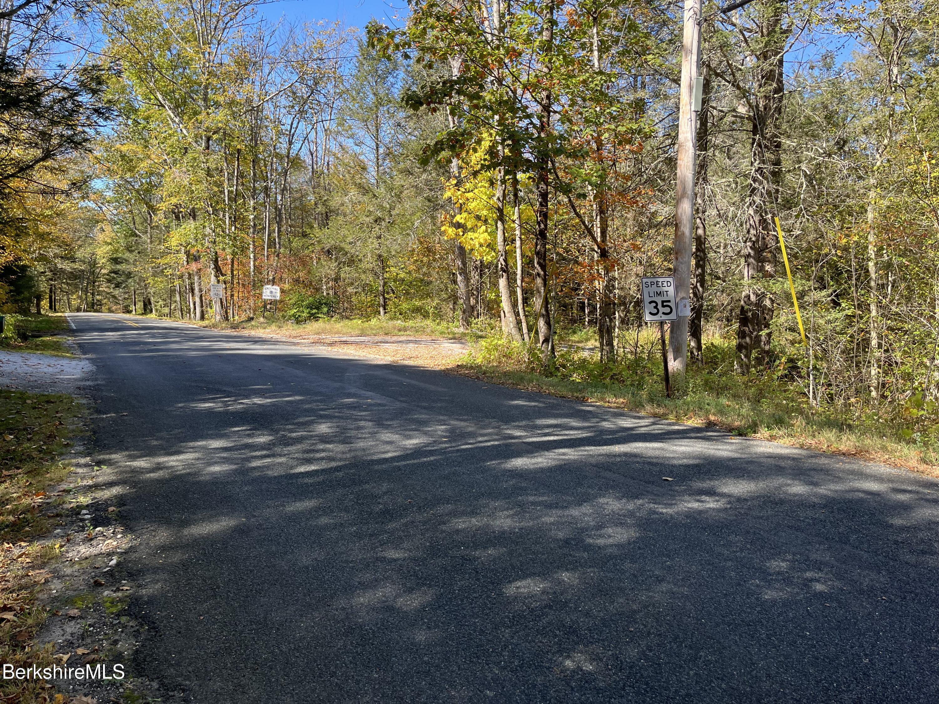 0 Sandisfield Road Monterey, MA 01245 - Photo 7 of 8 a view of road and trees