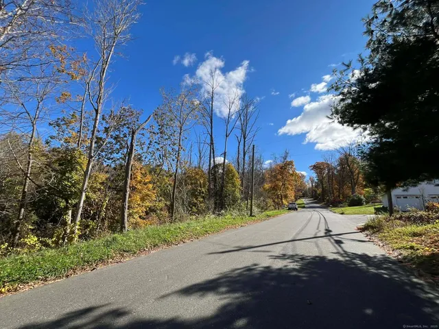 a view of a street with a yard and a large tree