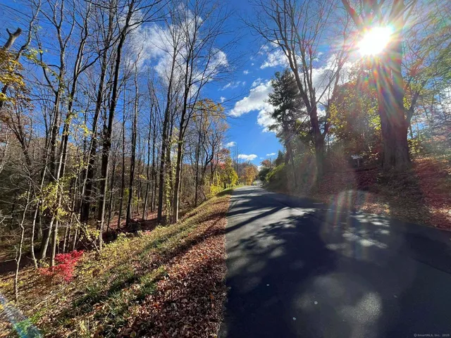 a view of a backyard of the house