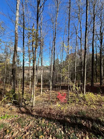 a view of outdoor space with deck