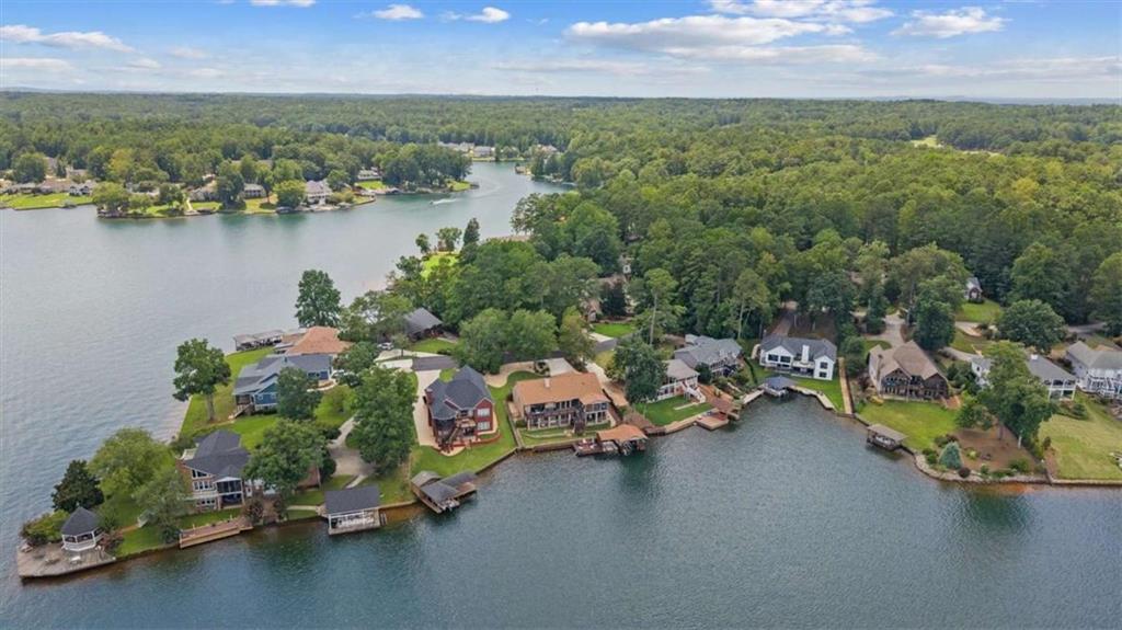 1127 Lakeshore Court Villa Rica, GA 30180 - Photo 3 of 86 an aerial view of a houses with a lake view